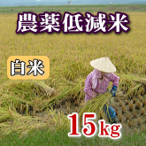 岩船産コシヒカリ 農薬低減米 白米（精米）15kg