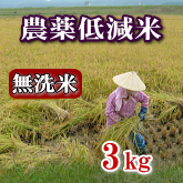 岩船産コシヒカリ 農薬低減米 無洗米 3kg