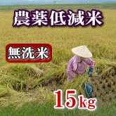岩船産コシヒカリ 農薬低減米 無洗米 15kg