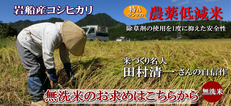 岩船産コシヒカリ 農薬低減米 無洗米