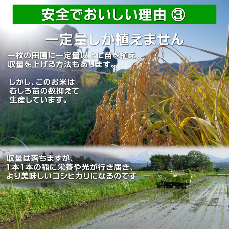 安全でおいしい理由（３）